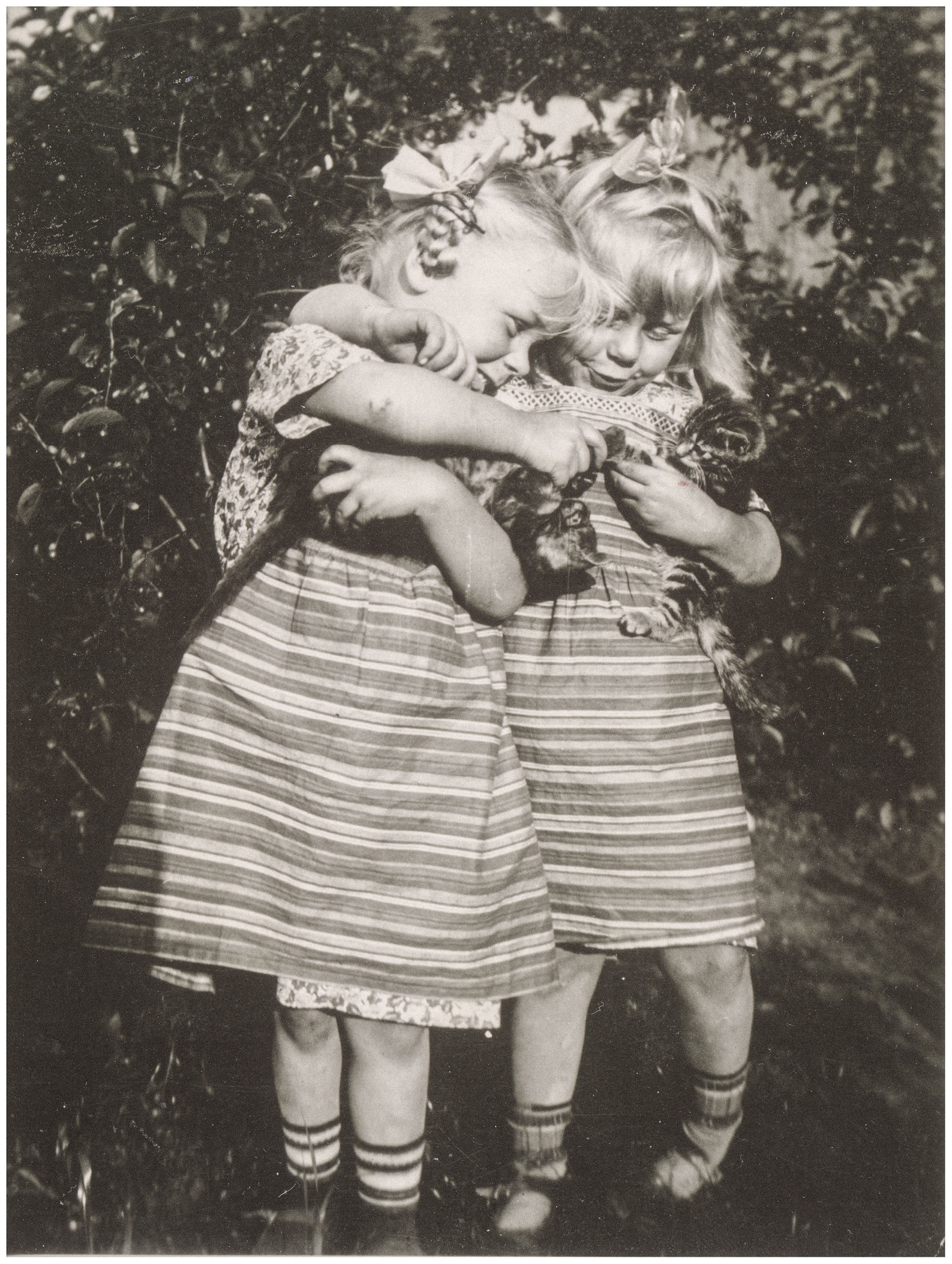 Dieses Schwarz-Weiß-Foto zeigt zwei kleine Mädchen in einem Garten, die sich innig umarmen und gemeinsam ein kleines, getigertes Kätzchen in ihren Händen halten. Sie tragen ähnliche, hell gestreifte Kleider mit dunklen Söckchen und haben helle Schleifen im Haar, während sie mit gesenkten Köpfen liebevoll auf das Tier blicken. Im Hintergrund sind die dunklen, unscharfen Blätter eines Gebüsches oder Baumes zu erkennen.
