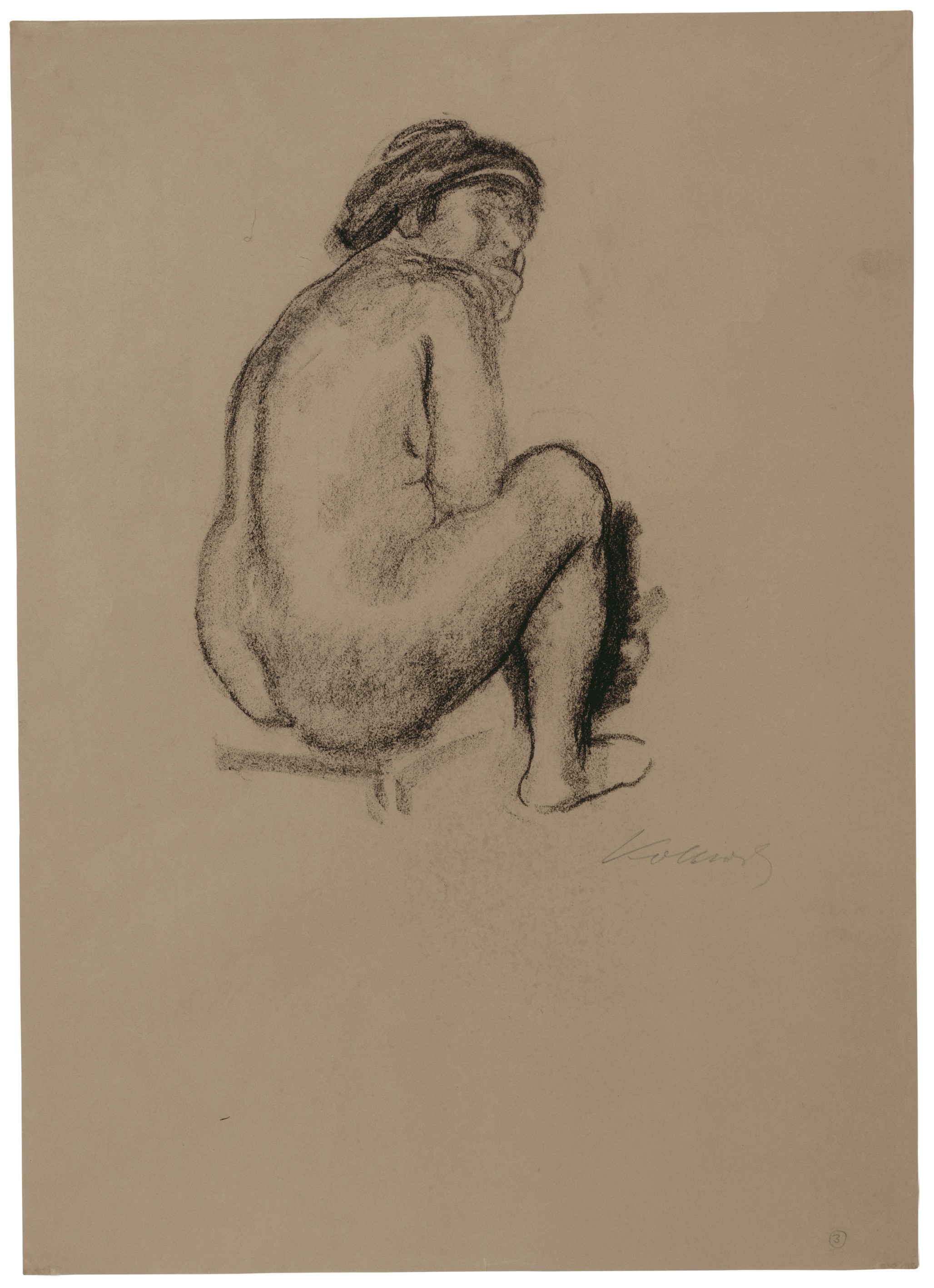 Käthe Kollwitz, Sitzender weiblicher Rückenakt nach rechts, um 1910–12, Kohle auf braunem Papier, 654 x 469 mm, NT 674, Kollwitz Museum Köln, Inv. Nr. 70200/84010.